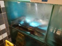 -花千代秘制烤鱼(曼哈顿店)