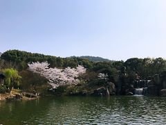 -白马涧龙池景区