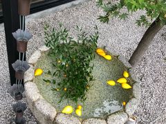 -鯛匠 HANANA