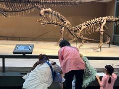 -向日葵艺术中心美术(虹桥南丰城校区)