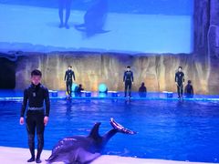 -华夏文旅海洋公园