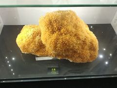 -郴州西站