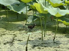 -南开大学(八里台校区)