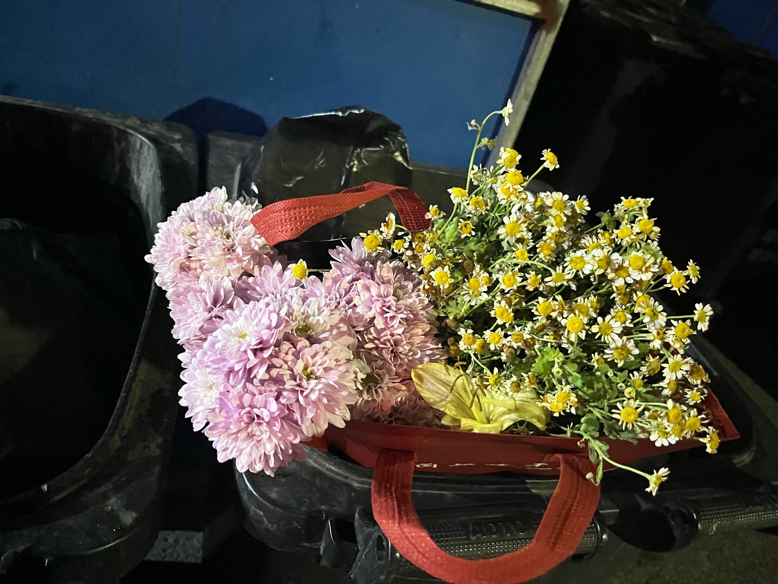 夏天垃圾桶里面的花