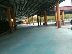 android_upload_pic-中加枫华国际学校