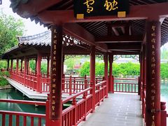 -百脉泉景区