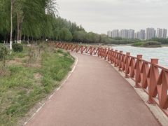 -丁香湖公园