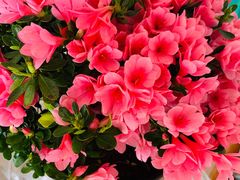 -三旗百汇商品城