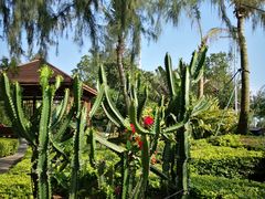 -惠州金海湾嘉华度假酒店