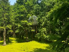 -青山湖景区