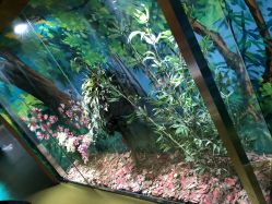 -北京科学中心儿童乐园