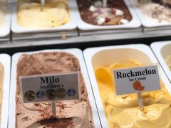 -Dooley's Premium Ice Cream