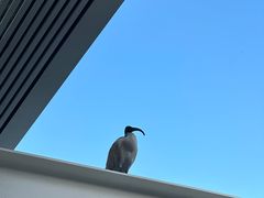 -布里斯班南岸公园