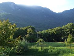 -普陀山雷迪森庄园