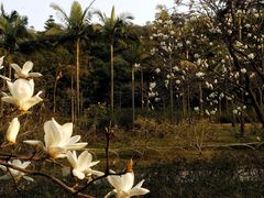 -云溪植物园