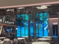 -桂满陇·海市蜃楼·黑金(国金店)