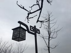 -杭州半山国家森林公园