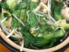 砂锅青菜-青岛排骨饭米线(原东平里店)