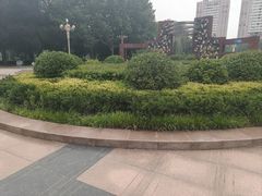 -西清公园
