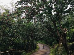 -樱桃山旅游景区