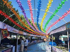 -东港音乐喷泉广场