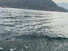-仙岛湖旅游风景区