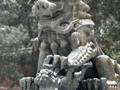 -香山公园
