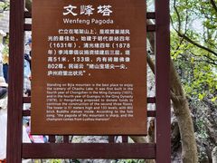 -巢湖姥山岛