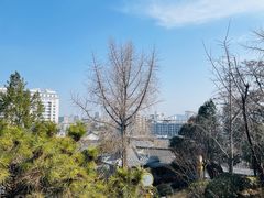 -戏马台景区
