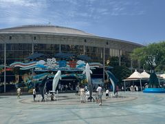 -海合安成都极地海洋公园