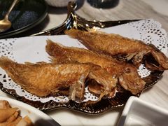 -MR鹅外