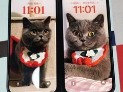 -Apple零售店(成都太古里店)