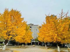 -辽宁大学(崇山校区)