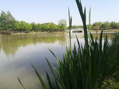 -西安浐灞国家湿地公园