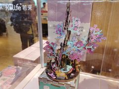 -九木杂物社(恒隆广场店)