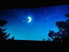 -大光明丽星VIP影城(昌里路杜比全景声店)