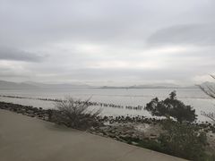 -深圳湾公园(南山区)