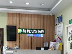 -瑞鹏宠物医院·夜间急症·心超·猫科(祖庙分店)
