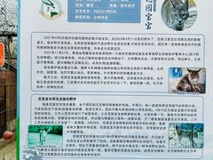 -青藏高原野生动物园