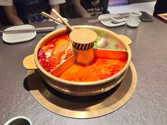 -大渝火锅(百乐广场店)