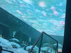 -M-MIX电音烤吧
