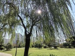 -木塔寺遗址生态公园