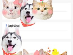 -柏萃动物医院·骨科·牙科