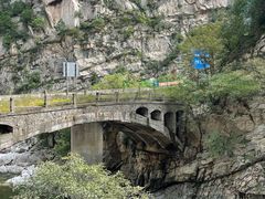 -黑河国家森林公园