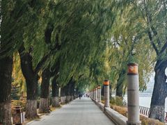 -长春市南湖公园