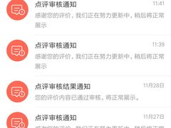 -全日本空输株式会社(上海办事处)