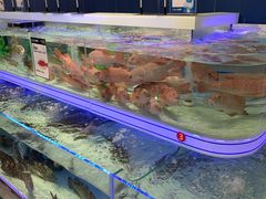-盒马X会员店(上海森兰商都店)