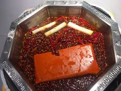 红锅底-蜀九香火锅(九眼桥店)