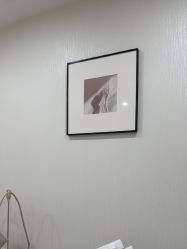 -智美品质医美