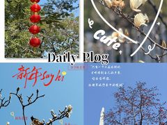 -烈士陵园(地铁站)